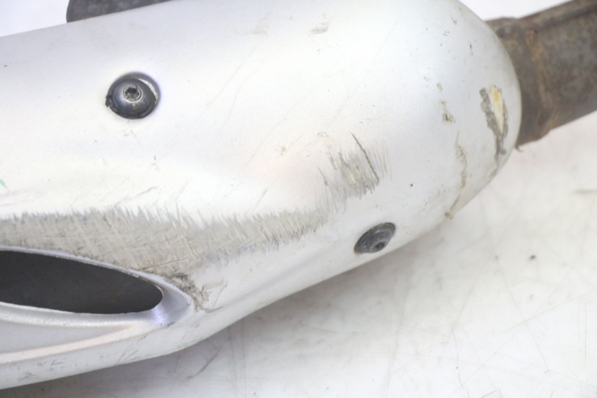 photo de AUSPUFFANLAGE PEUGEOT LUDIX 50 (2008 - 2017) - Gesamtansicht des Produkts