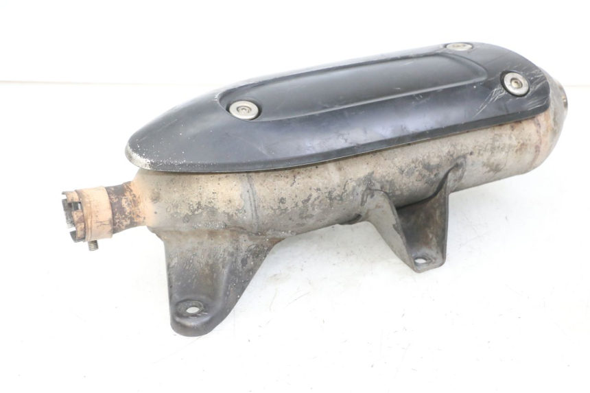 photo de AUSPUFFTOPF PIAGGIO MP3 LT 300 (2010 - 2016)