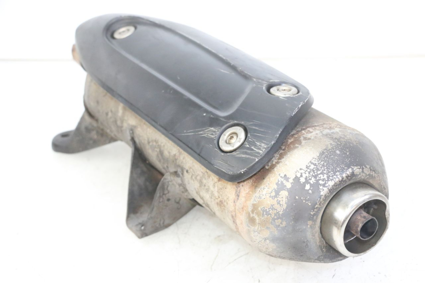 photo de AUSPUFFTOPF PIAGGIO MP3 LT 300 (2010 - 2016)
