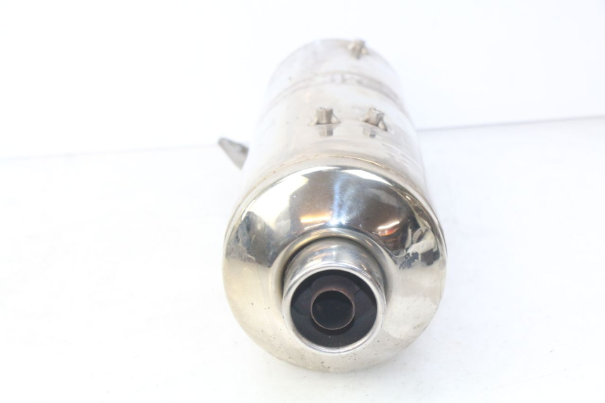 photo de AUSPUFFANLAGE PIAGGIO MP3 500 (2014 - 2016)