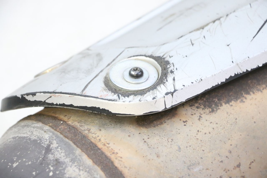 photo de AUSPUFF PIAGGIO MP3 RL 250 (2007 - 2010)