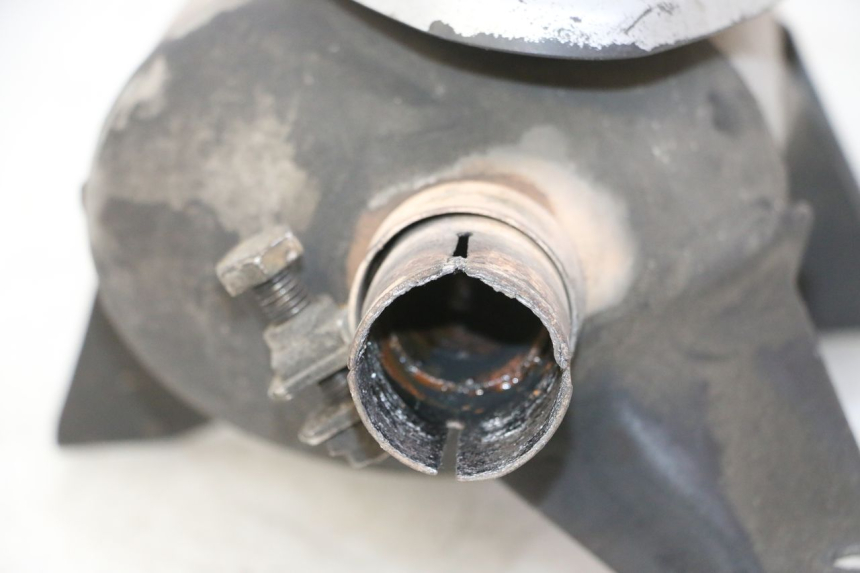 photo de AUSPUFF PIAGGIO MP3 RL 250 (2007 - 2010)