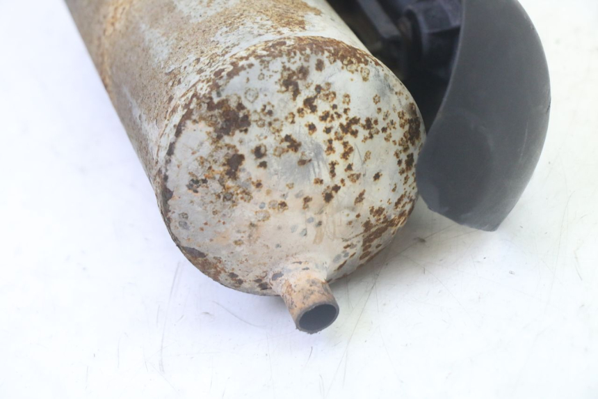 photo de AUSPUFF TNT MOTOR ROMA 10' 2T 50 (2011 - 2018)