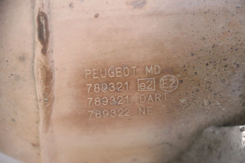 photo de AUSPUFF PEUGEOT SATELIS 125 (2013 - 2018)