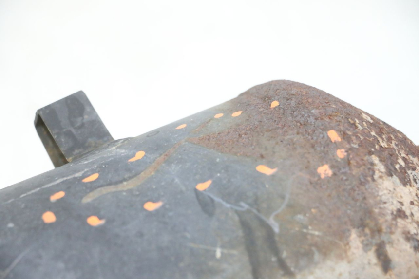 photo de AUSPUFFANLAGE PEUGEOT TWEET 4T 50 (2018 - 2020)