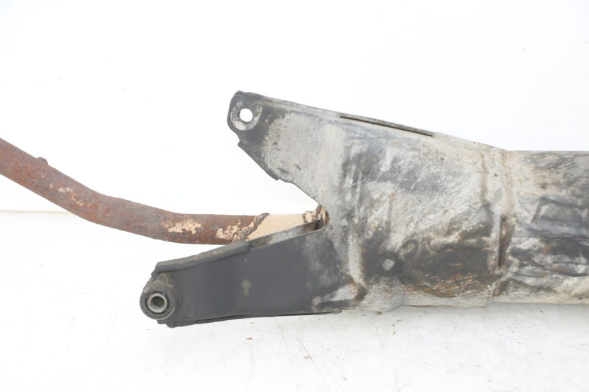 photo de AUSPUFFANLAGE PEUGEOT TWEET 4T 50 (2018 - 2020)