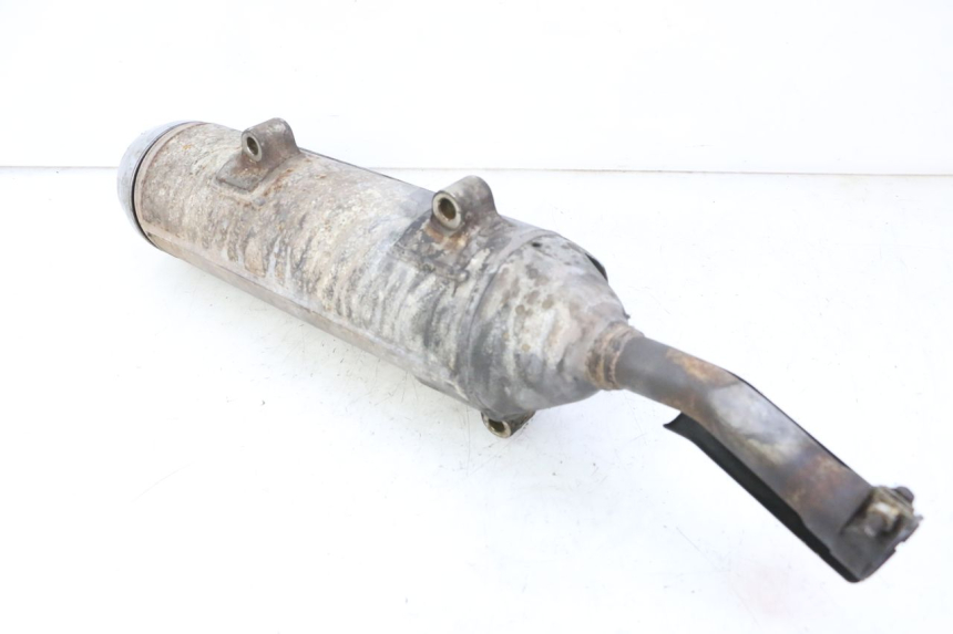 photo de AUSPUFFANLAGE YAMAHA X-MAX XMAX 250 (2006 - 2009)