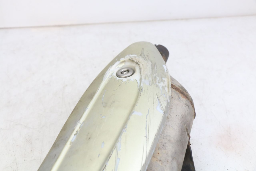 photo de AUSPUFFTOPF PIAGGIO X9 EVOLUTION 125 (2003 - 2007)