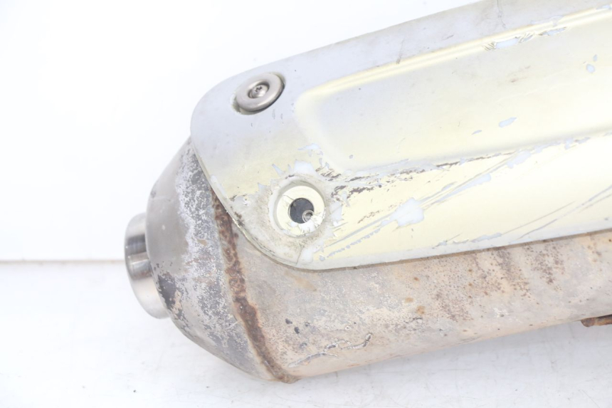 photo de AUSPUFFTOPF PIAGGIO X9 EVOLUTION 125 (2003 - 2007)