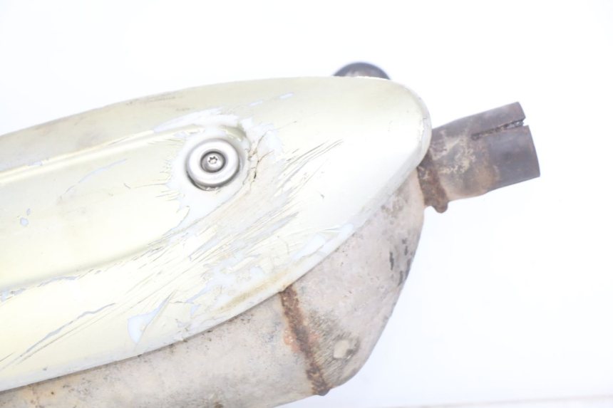 photo de AUSPUFFTOPF PIAGGIO X9 EVOLUTION 125 (2003 - 2007)