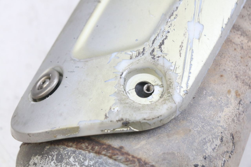 photo de AUSPUFFTOPF PIAGGIO X9 EVOLUTION 125 (2003 - 2007)