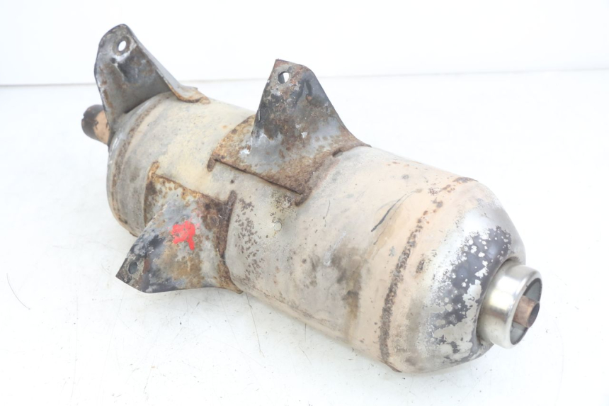 photo de AUSPUFFTOPF PIAGGIO X9 EVOLUTION 125 (2003 - 2007)