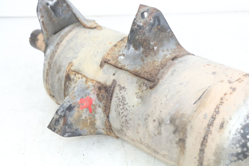 photo de AUSPUFFTOPF PIAGGIO X9 EVOLUTION 125 (2003 - 2007)