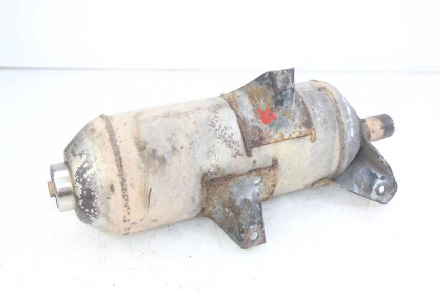 photo de AUSPUFFTOPF PIAGGIO X9 EVOLUTION 125 (2003 - 2007)