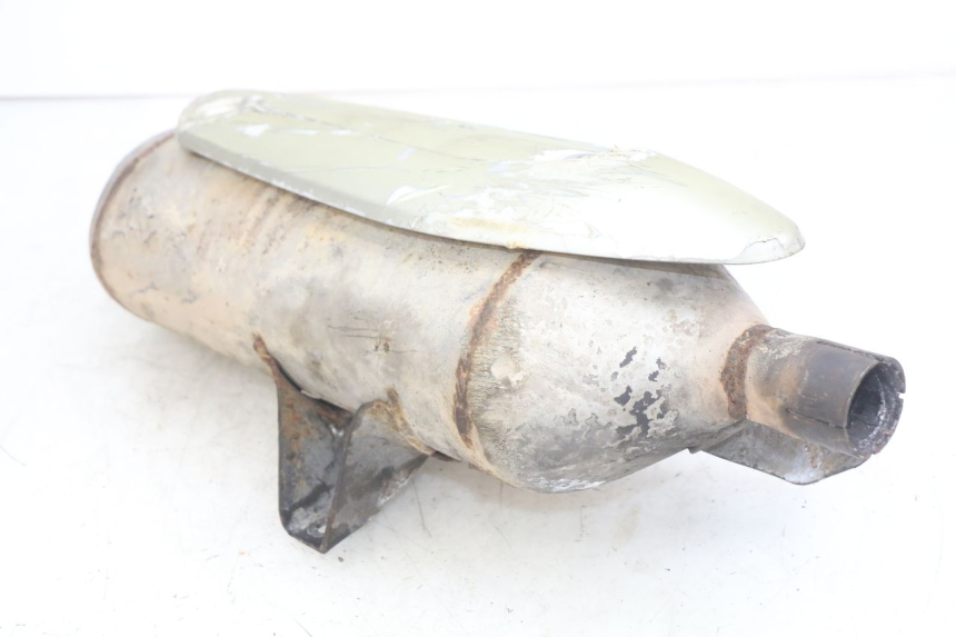 photo de AUSPUFFTOPF PIAGGIO X9 EVOLUTION 125 (2003 - 2007)