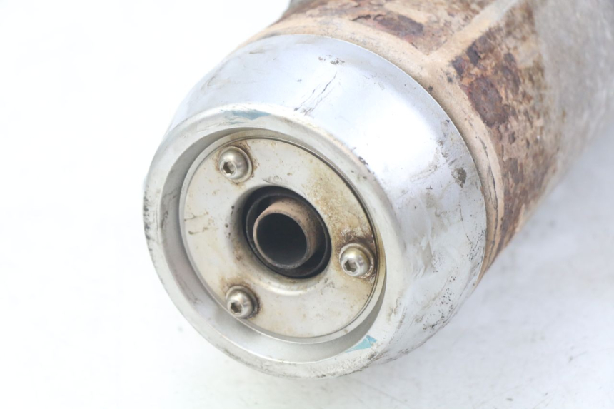 photo de AUSPUFFTOPF YAMAHA XMAX X-MAX 125 (2006 - 2009)