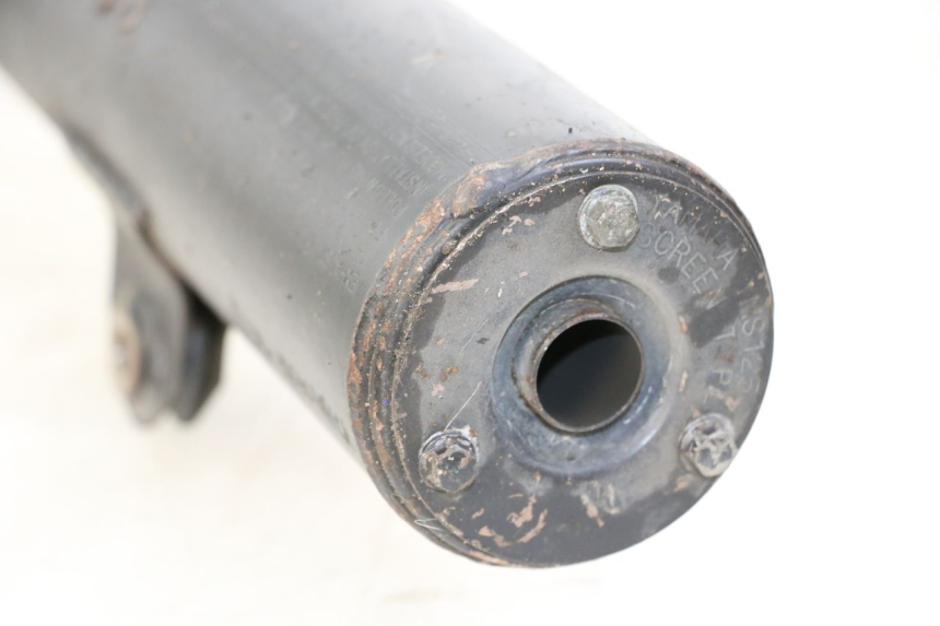 photo de AUSPUFF YAMAHA TTR 125 (2000 - 2020)