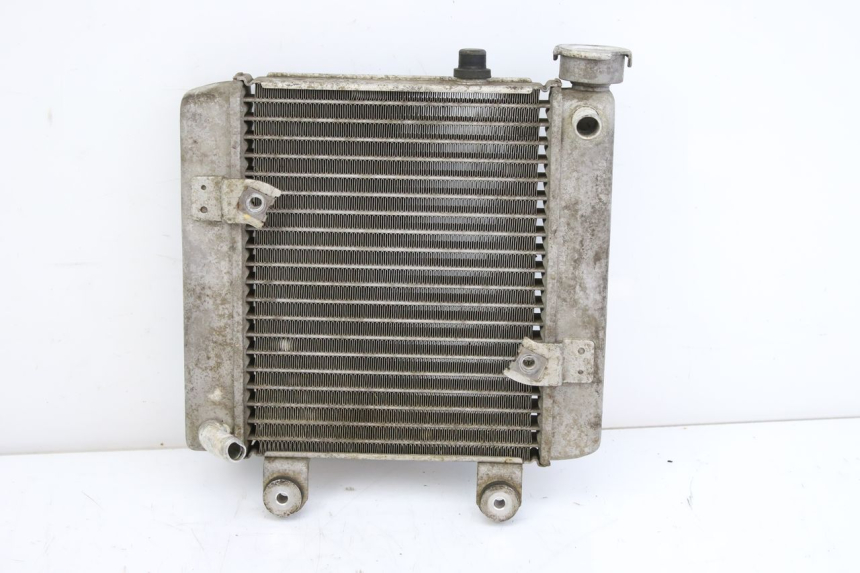 photo de KÜHLER HONDA FES S-WING SWING ABS 125 (2007 - 2015)