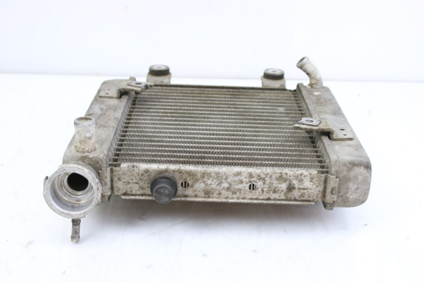 photo de KÜHLER HONDA FES S-WING SWING ABS 125 (2007 - 2015)
