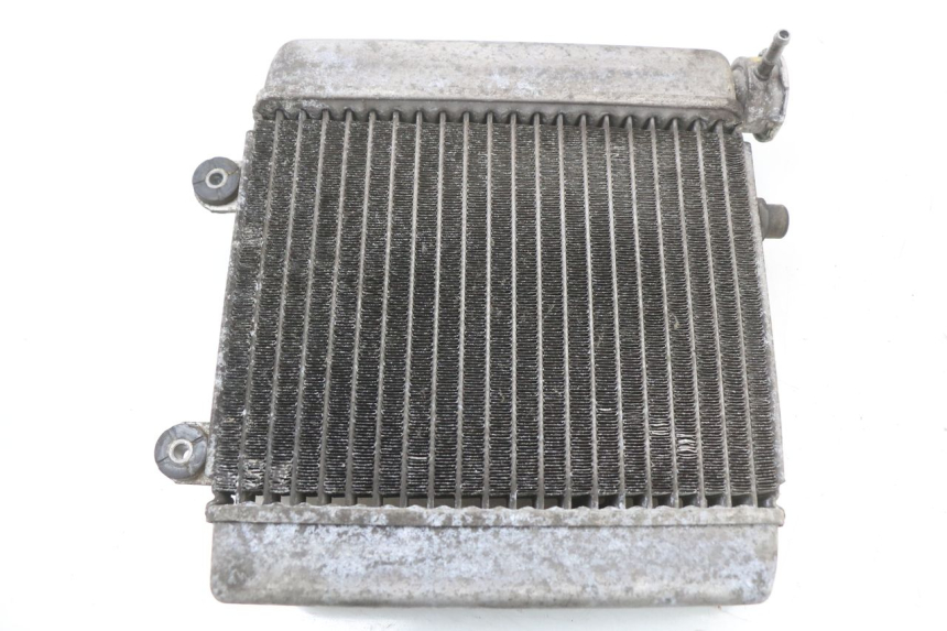 photo de KÜHLER HONDA FES S-WING SWING ABS 125 (2007 - 2015)