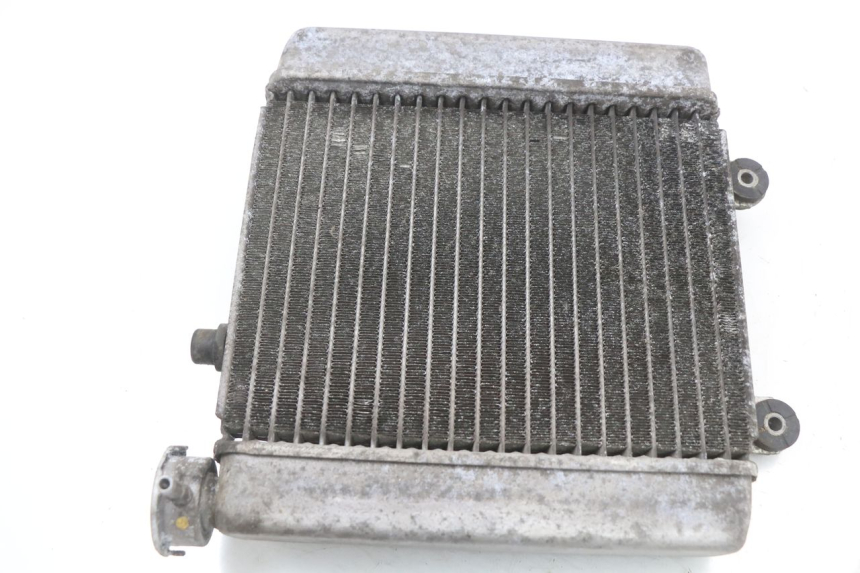 photo de KÜHLER HONDA FES S-WING SWING ABS 125 (2007 - 2015)