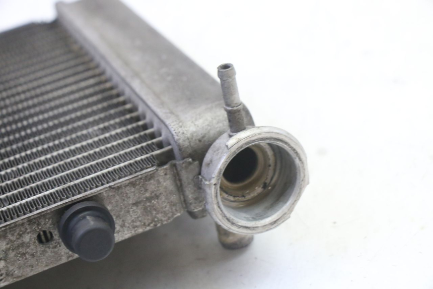 photo de KÜHLER HONDA FES S-WING SWING ABS 125 (2007 - 2015)