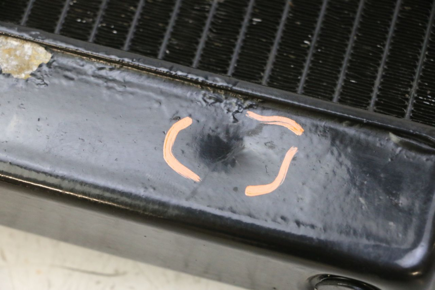 photo de KÜHLER  YAMAHA FZ6 N FAZER 600 (2004 - 2006)