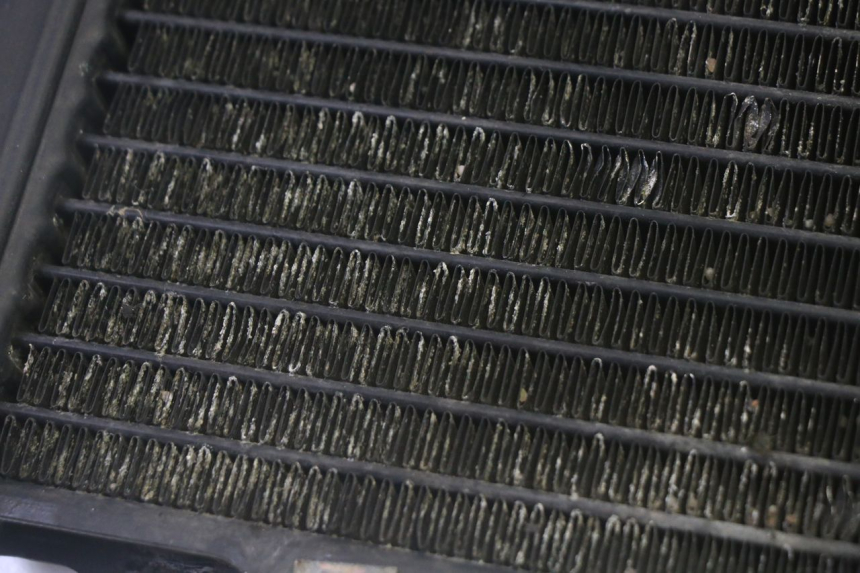 photo de KÜHLER  KAWASAKI GPX R WARBIRD 600 (1988 - 1993) - Zoom auf Gebrauchszustand