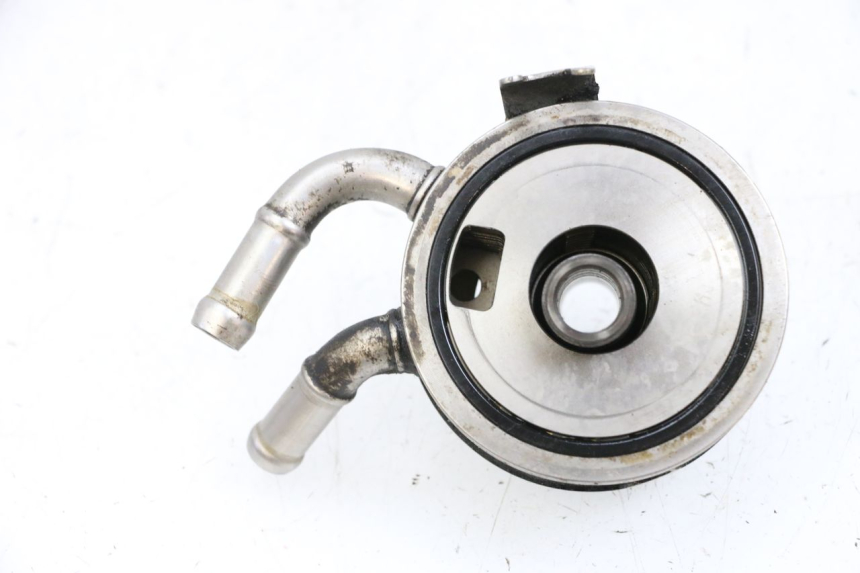 photo de ÖLKÜHLER SUZUKI BURGMAN EXECUTIVE ABS 650 (2006 - 2012) - Alternative Perspektive