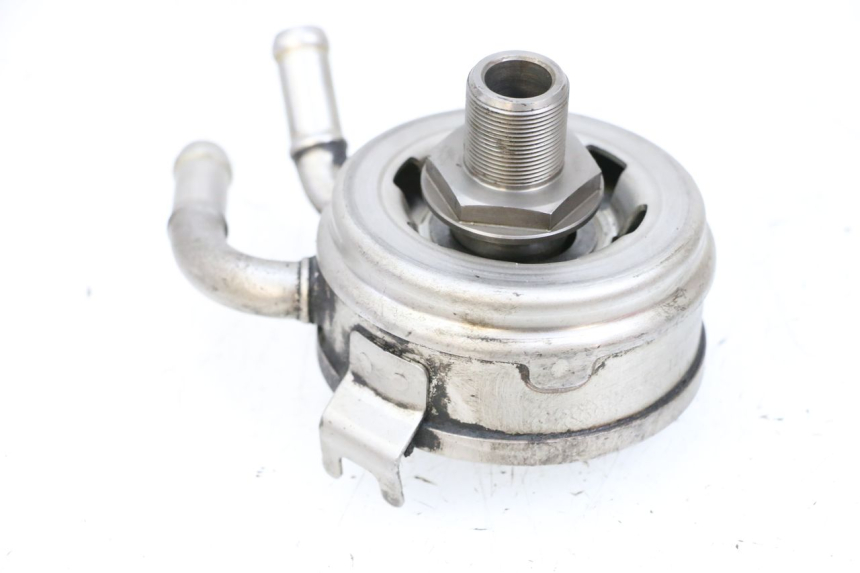 photo de ÖLKÜHLER SUZUKI BURGMAN EXECUTIVE ABS 650 (2006 - 2012) - Gesamtansicht des Produkts