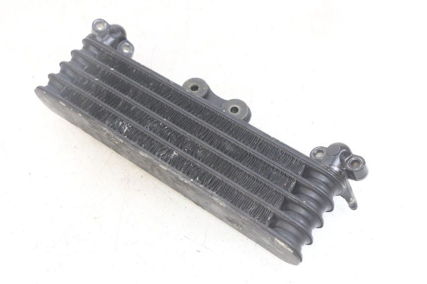 photo de ÖLKüHLER HONDA CBR F SC25 1000 (1989 - 1992)