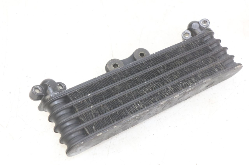 photo de ÖLKüHLER HONDA CBR F SC25 1000 (1989 - 1992)