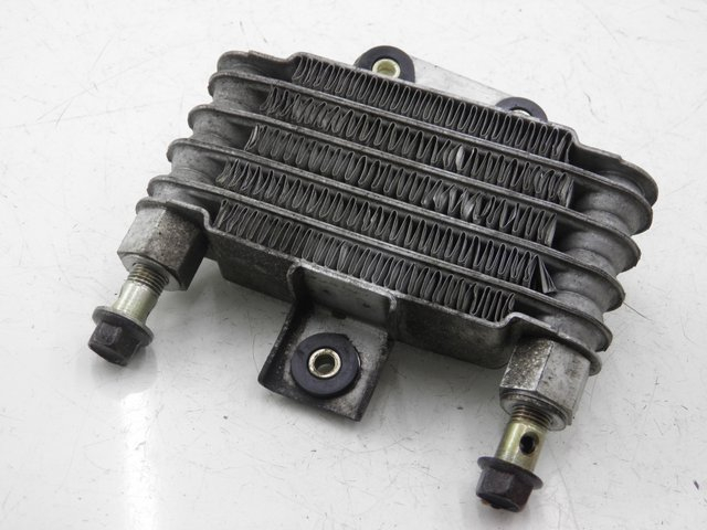 photo de ÖLKÜHLER DAELIM VJ ROADWIN 125 (2008 - 2010)