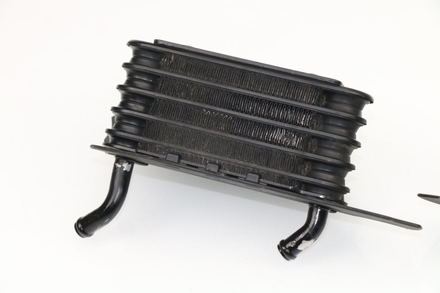photo de ÖLKÜHLER BMW R R 1150 (2001 - 2006)