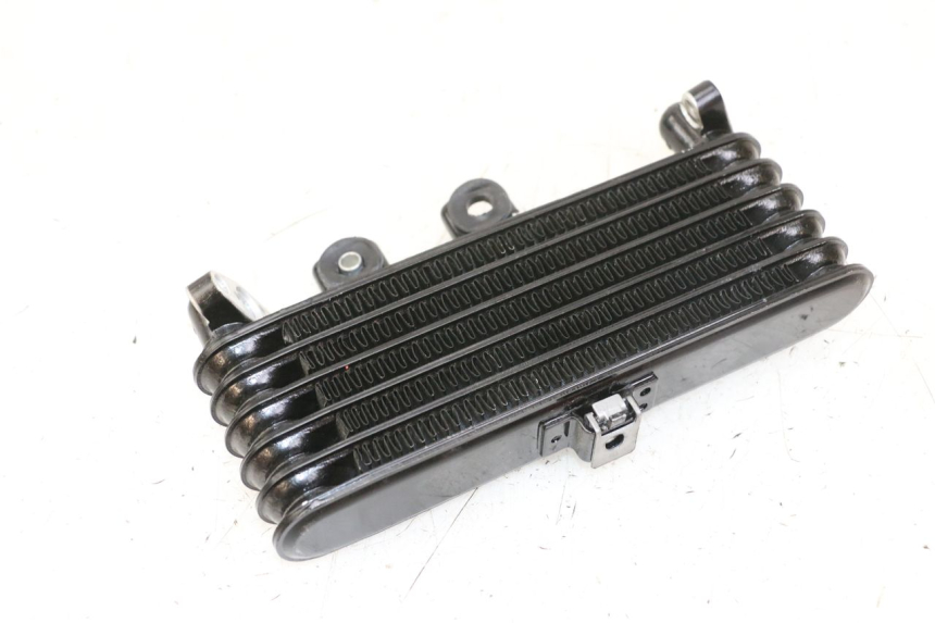 photo de ÖLKÜHLER ROYAL ENFIELD SCRAM 411 (2022 - 2024)