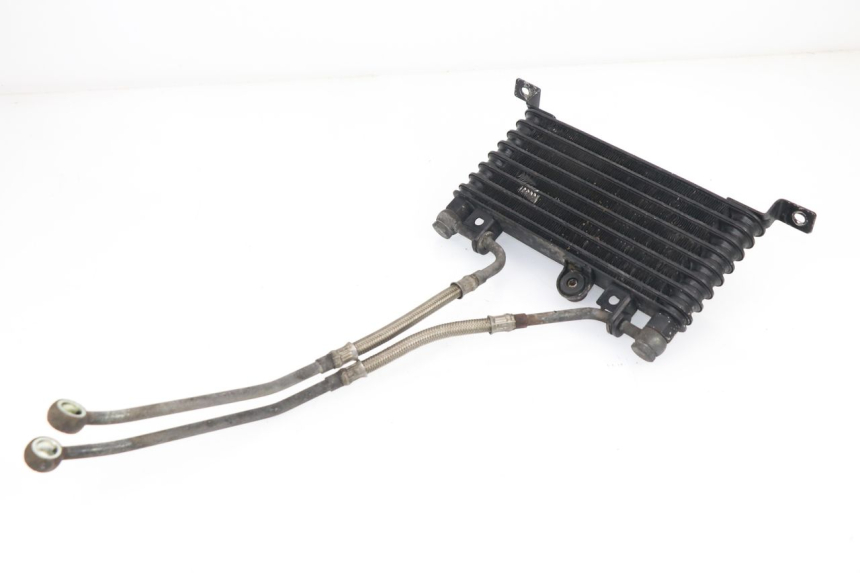 photo de ÖLKÜHLER TRIUMPH SPRINT RS 955 (2000 - 2001)