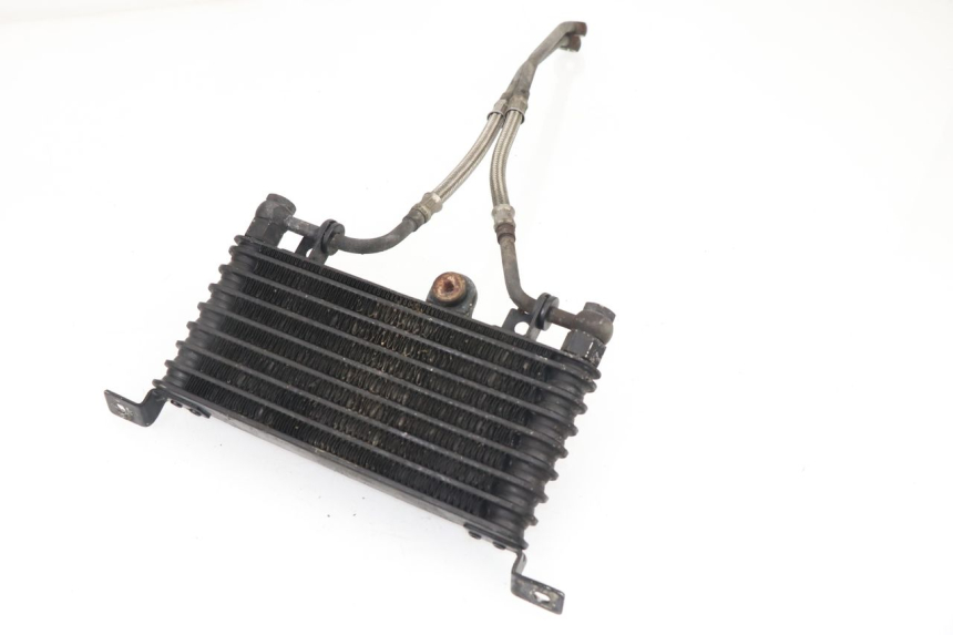 photo de ÖLKÜHLER TRIUMPH SPRINT RS 955 (2000 - 2001)