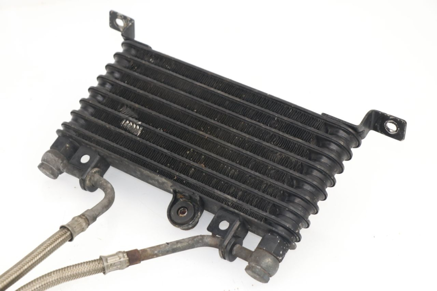 photo de ÖLKÜHLER TRIUMPH SPRINT RS 955 (2000 - 2001)