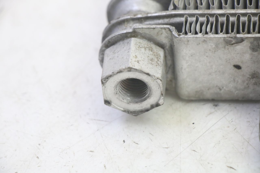 photo de ÖLKÜHLER DAELIM VJ ROADWIN FI 125 (2008 - 2017) - Technische Nahaufnahme