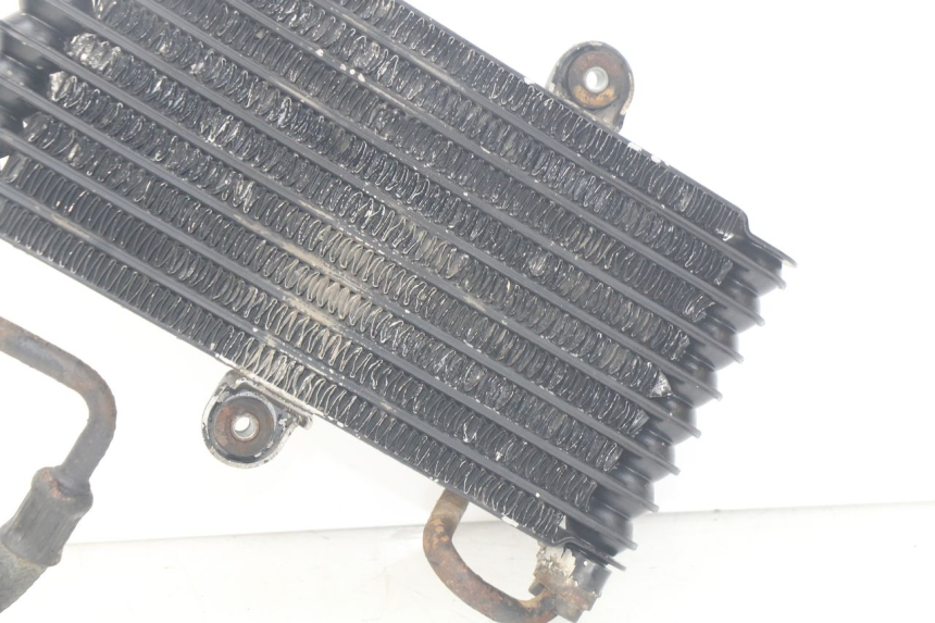 photo de ÖLKüHLER SUZUKI XF FREEWIND 650 (1997 - 2003)