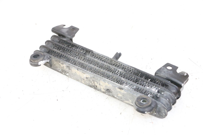 photo de ÖLKÜHLER YAMAHA XJN DIVERSION 600 (2000 - 2003)