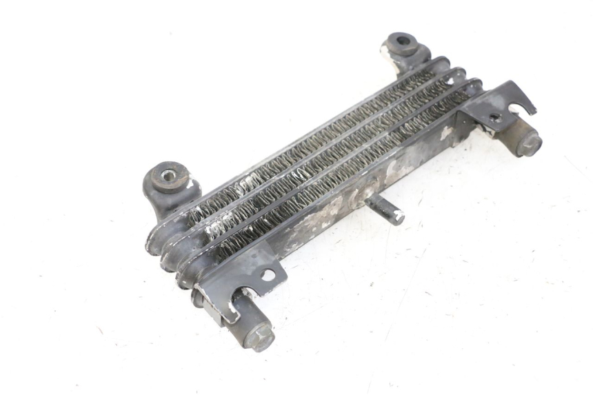 photo de ÖLKÜHLER YAMAHA XJN DIVERSION 600 (2000 - 2003)