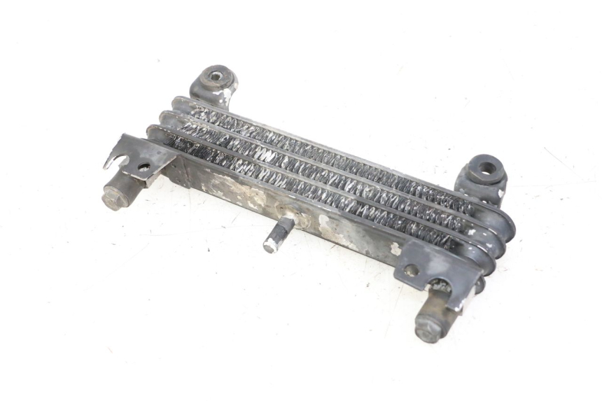 photo de ÖLKÜHLER YAMAHA XJN DIVERSION 600 (2000 - 2003)