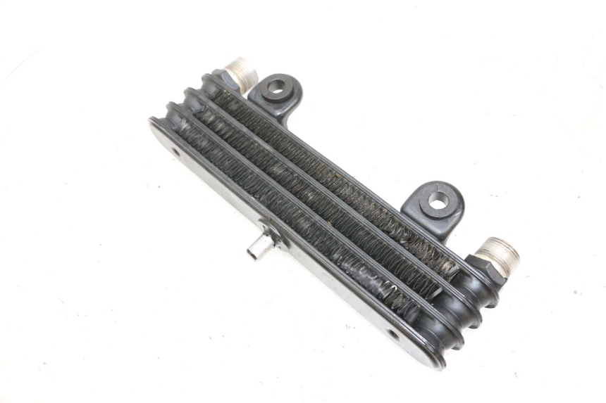 photo de ÖLKÜHLER YAMAHA YFM R RAPTOR 250 (2008 - 2014) - Zoom auf Gebrauchszustand