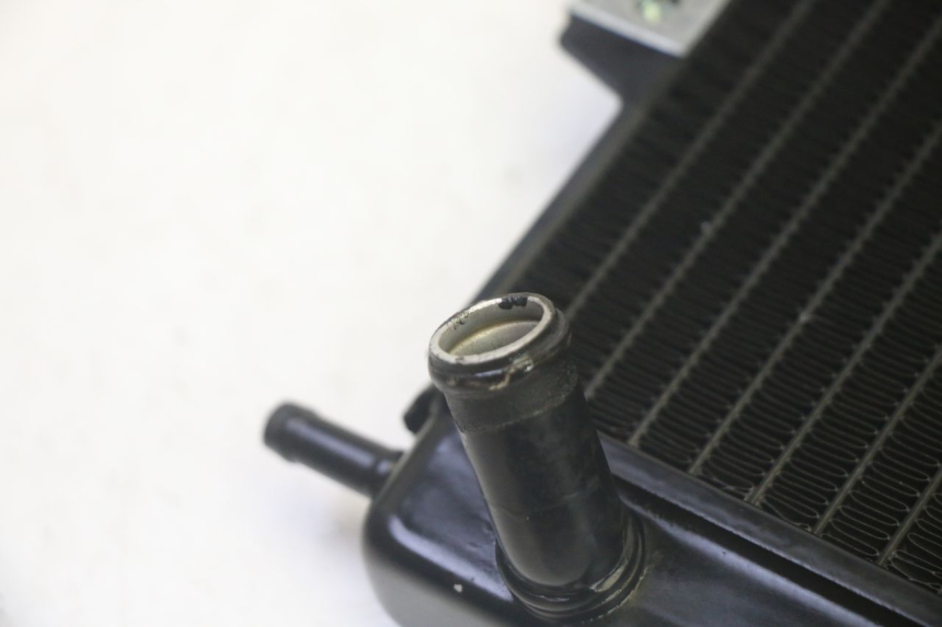 photo de KÜHLER  PIAGGIO MP3 HPE 350 (2018 - 2020) - Details der Befestigungspunkte