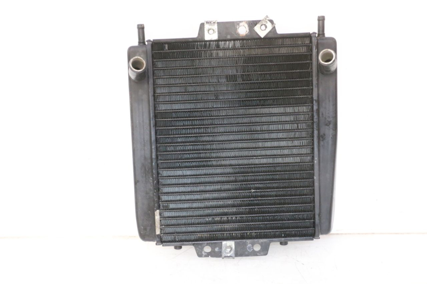 photo de KÜHLER  PIAGGIO MP3 RL 250 (2007 - 2010)