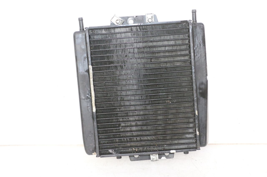 photo de KÜHLER  PIAGGIO MP3 RL 250 (2007 - 2010)