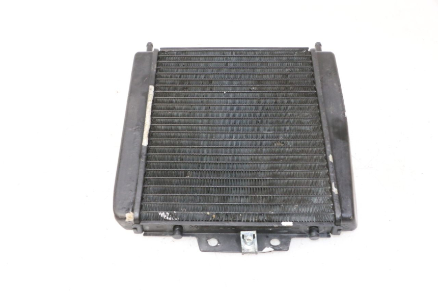 photo de KÜHLER  PIAGGIO MP3 RL 250 (2007 - 2010)