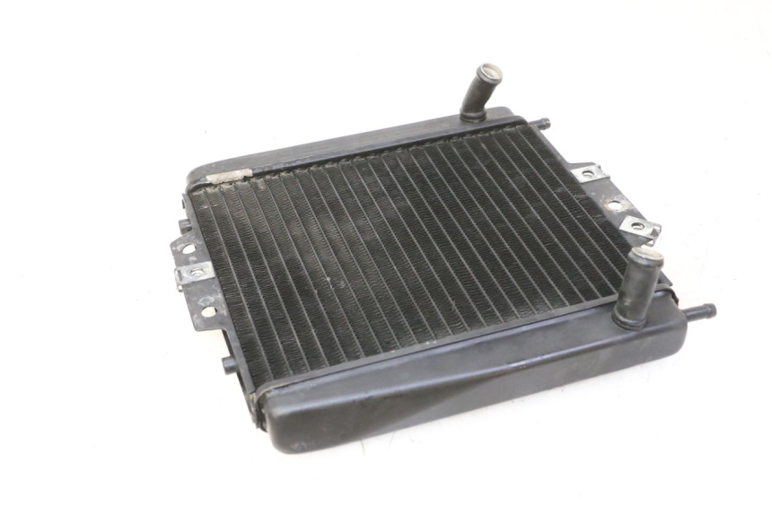 photo de KÜHLER  PIAGGIO MP3 RL 250 (2007 - 2010)