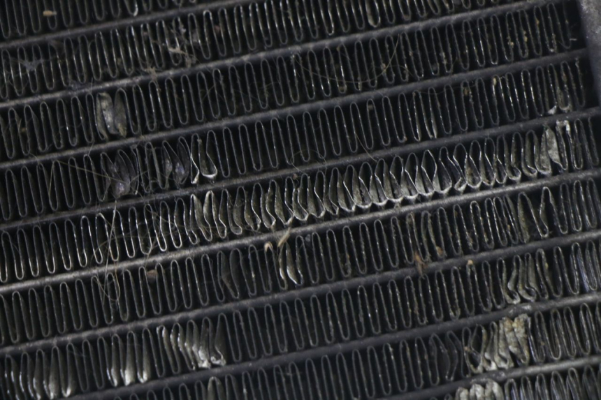 photo de KÜHLER  PIAGGIO MP3 125 (2006 - 2014)